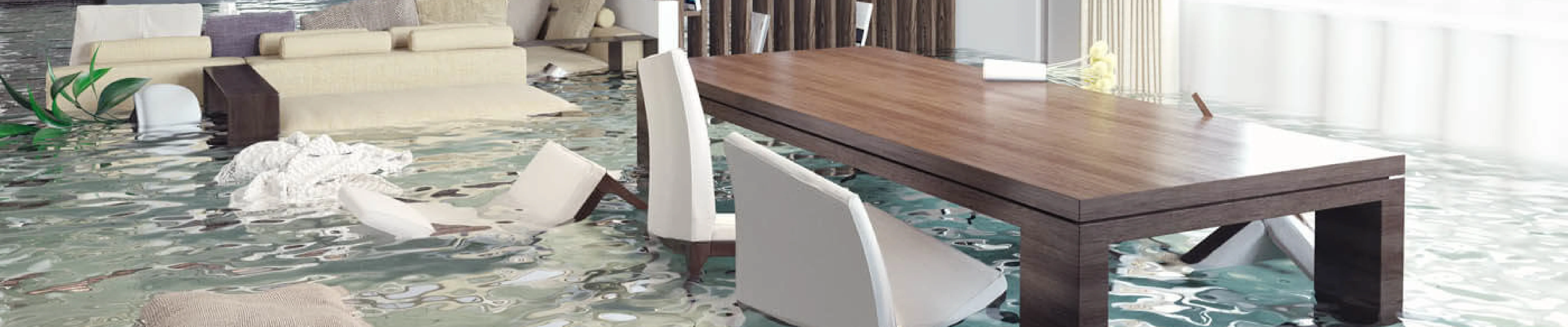 carpet cleaning in NJ, carpet cleaner in NJ, carpet cleaners in NJ, carpet cleaners in NJ, drapery cleaners in NJ, carpet cleaning in NJ, mattress cleaning in NJ, mattress cleaners in NJ, commercial carpet cleaning, commercial carpet cleaners in NJ, NJ rug cleaners, rug cleaning services in NJ same day carpet cleaning, same day rug cleaning